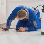 Bugs A Side Pest Control services - photo 1