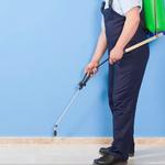 Bugs A Side Pest Control services - photo 5