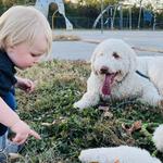 Camp Lucky Board and Train (Missouri) - photo 1