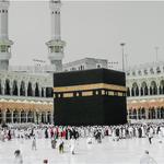 umrahxpress  - photo 4
