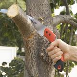 True Gen Tree Service - Tree Services in Norfolk