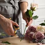 Bea’s Flowers - photo 4