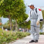 Stuart Pest Control - photo 2