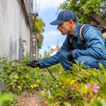 Stuart Pest Control - photo 3