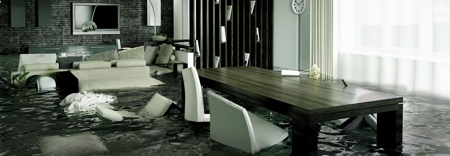 1-800-Dry-Me-Out cover photo