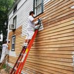 Revive Painting - photo 1