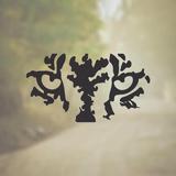 Ajith Safari - Tournament & Competition in Colombo