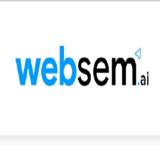 Web SEM - AI Marketing Agency - Professional Services in Cape Town
