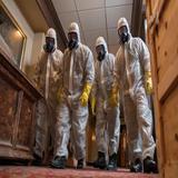 Vero Beach Mold Removal - Home Services in Vero Beach