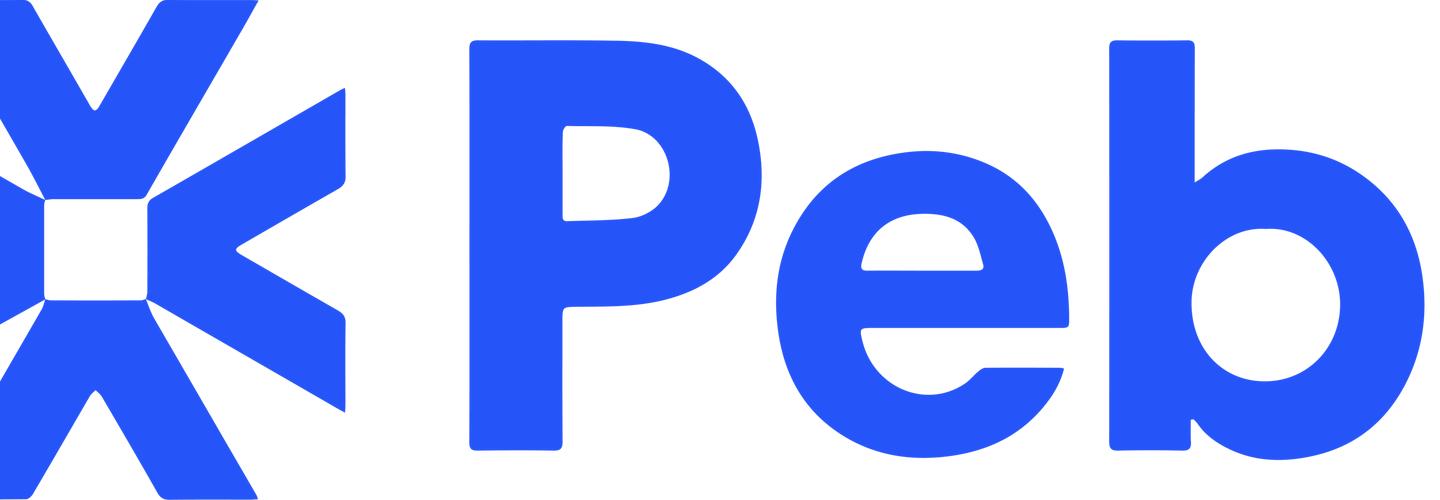 Pebi Technology cover photo