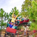 Yesterland Farm - photo 1