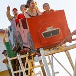 Yesterland Farm - photo 2