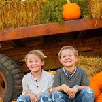 Yesterland Farm - photo 3