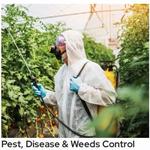 Ashi Homes and Gardens - photo 8