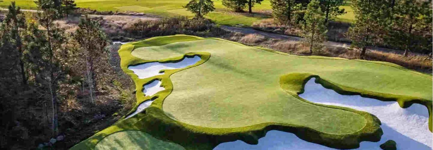 Back Nine Greens Palm Desert cover photo