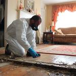 Titusville Mold Removal - photo 2