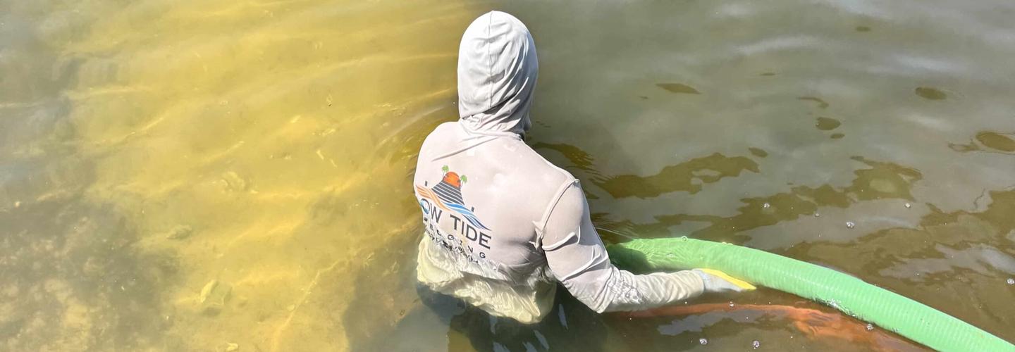 Low Tide Dredging cover photo