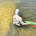 Low Tide Dredging - photo 3