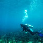 Herts Dive Club - photo 1