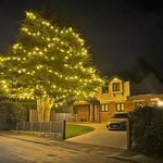 Power Tech Christmas Lighting - photo 2