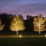 Power Tech Christmas Lighting - photo 3