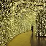 Power Tech Christmas Lighting - photo 4