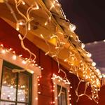 Power Tech Christmas Lighting - photo 5