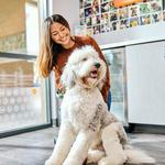 Dogtopia of Madison West - photo 2