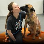 Dogtopia of Limerick - photo 4