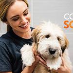 Dogtopia of Limerick - photo 6