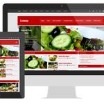 SEO Web Design Houston - photo 3