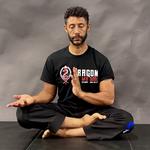 Dragon Mu Sool Martial Arts - photo 2