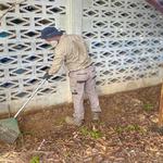 Townsville Termite Specialist - photo 1