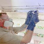 Townsville Termite Specialist - photo 2