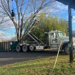 D&M Container Service - photo 2