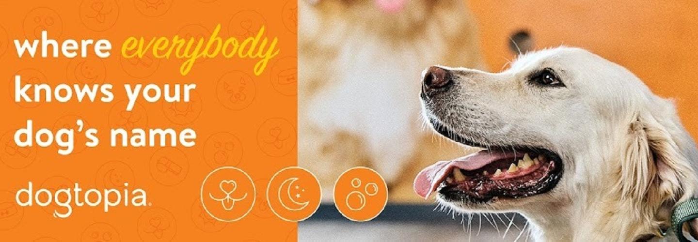 Dogtopia of Katy cover photo