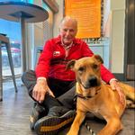 Dogtopia of Mechanicsburg - photo 4