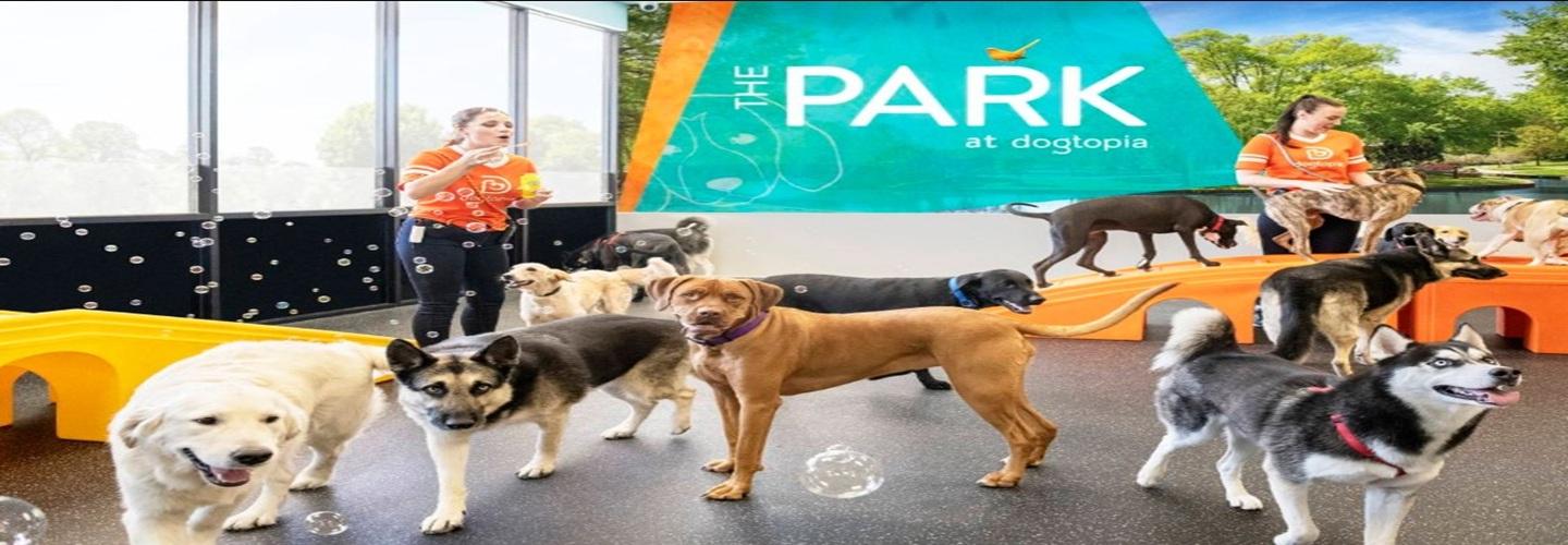 Dogtopia of Mechanicsburg cover photo