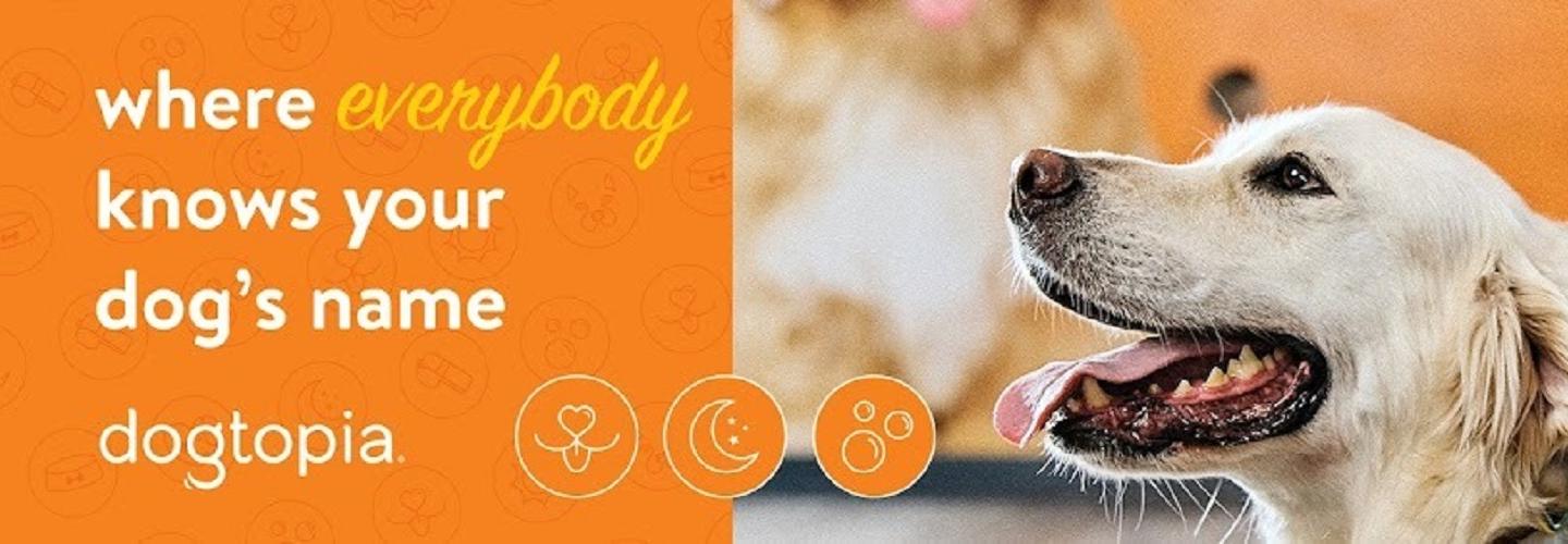 Dogtopia of Huntsville - Madison cover photo