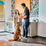 Dogtopia of Huntsville - Madison - photo 9