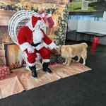 Dogtopia of North Hampton - photo 5