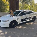 CODE 4 PRIVATE SECURITY - photo 6