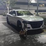 CODE 4 PRIVATE SECURITY - photo 8