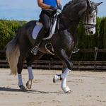 NPC Health - photo 1