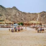 salamatour - photo 8