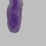 Handwritten notes - Educational Psychologists in Srinagar