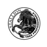 Stallion Tree Professionals - Tree Services in Evans
