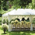 Dalissa Events & Party Rentals - photo 1