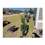 Elite Landscaping and Lawn Maintenance - photo 2