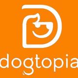 Dogtopia of Redmond - Dog Parks in Redmond